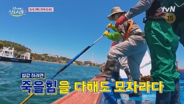 사진제공=tvN