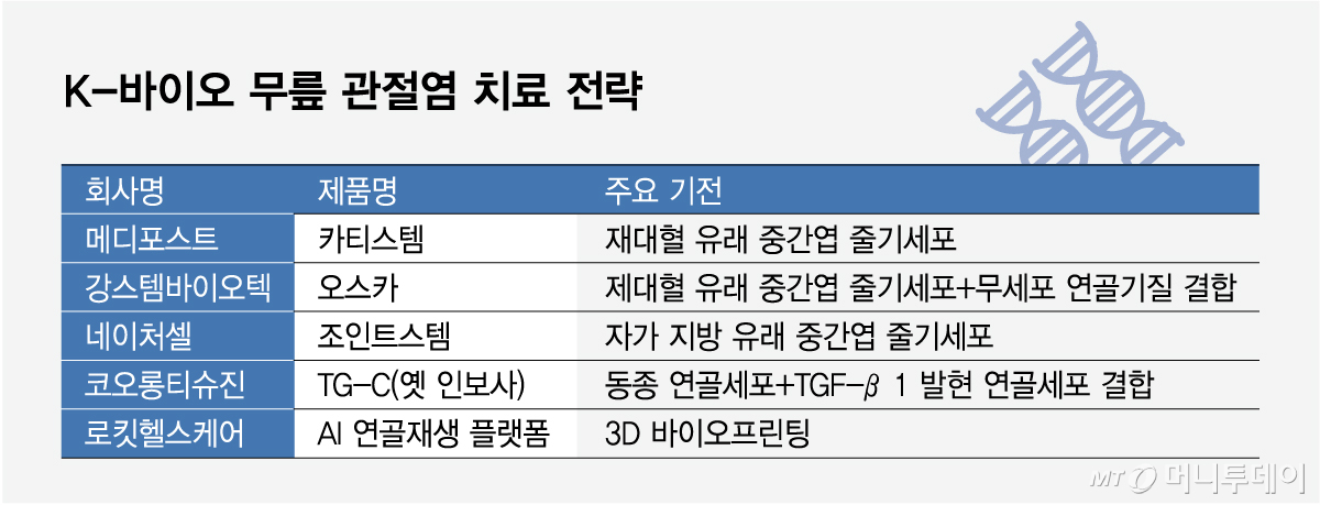 K-바이오 무릎 관절염 치료 전략/그래픽=임종철