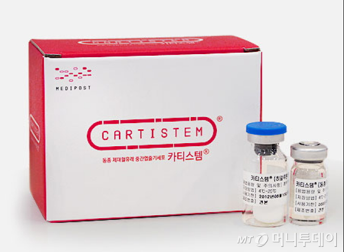 카티스템