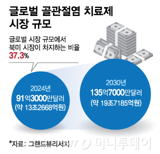 글로벌 골관절염 치료제 시장 규모/그래픽=김현정