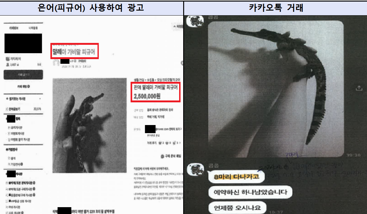 밀수 유통조직이 피규어, 인형 등 은어를 사용해 밀수를 하고 있는 SNS 캡쳐 사진./사진제공=서울동부지검.