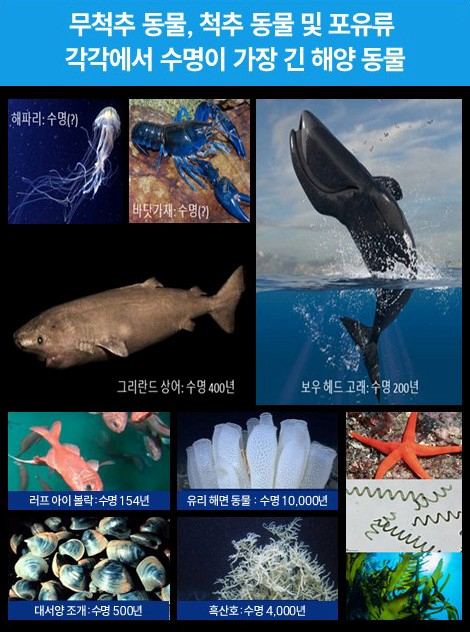 이미지=KIOST 제공.