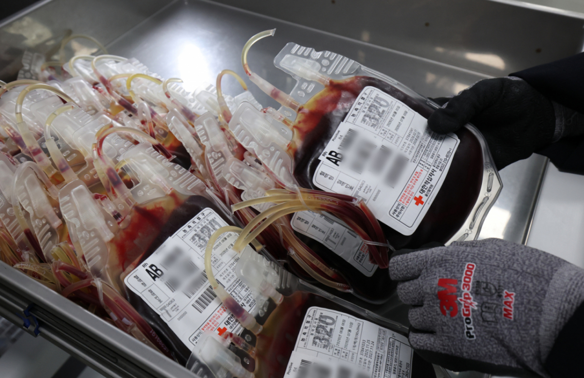 위 사진은 기사 내용과 무관한 자료사진/사진=뉴스1