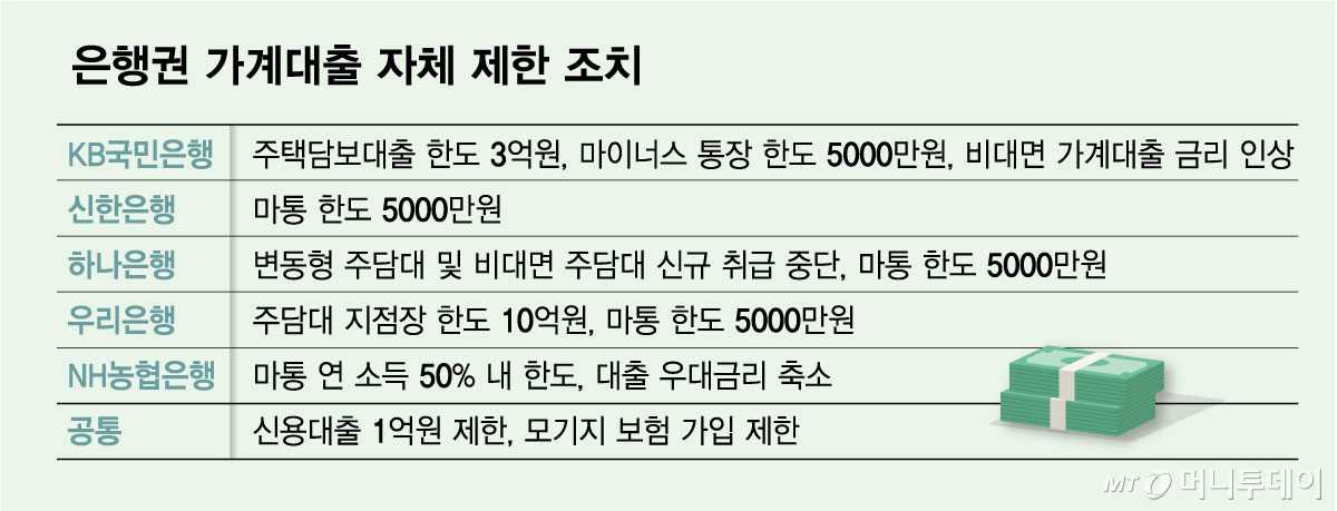 은행권 가계대출 자체 제한 조치/그래픽=김다나