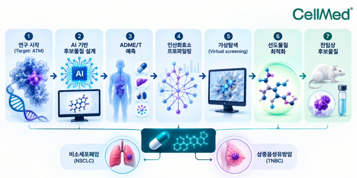 사진제공=셀메드
