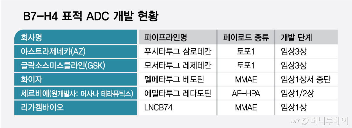 B7-H4 표적 ADC 개발 현황/그래픽=최헌정