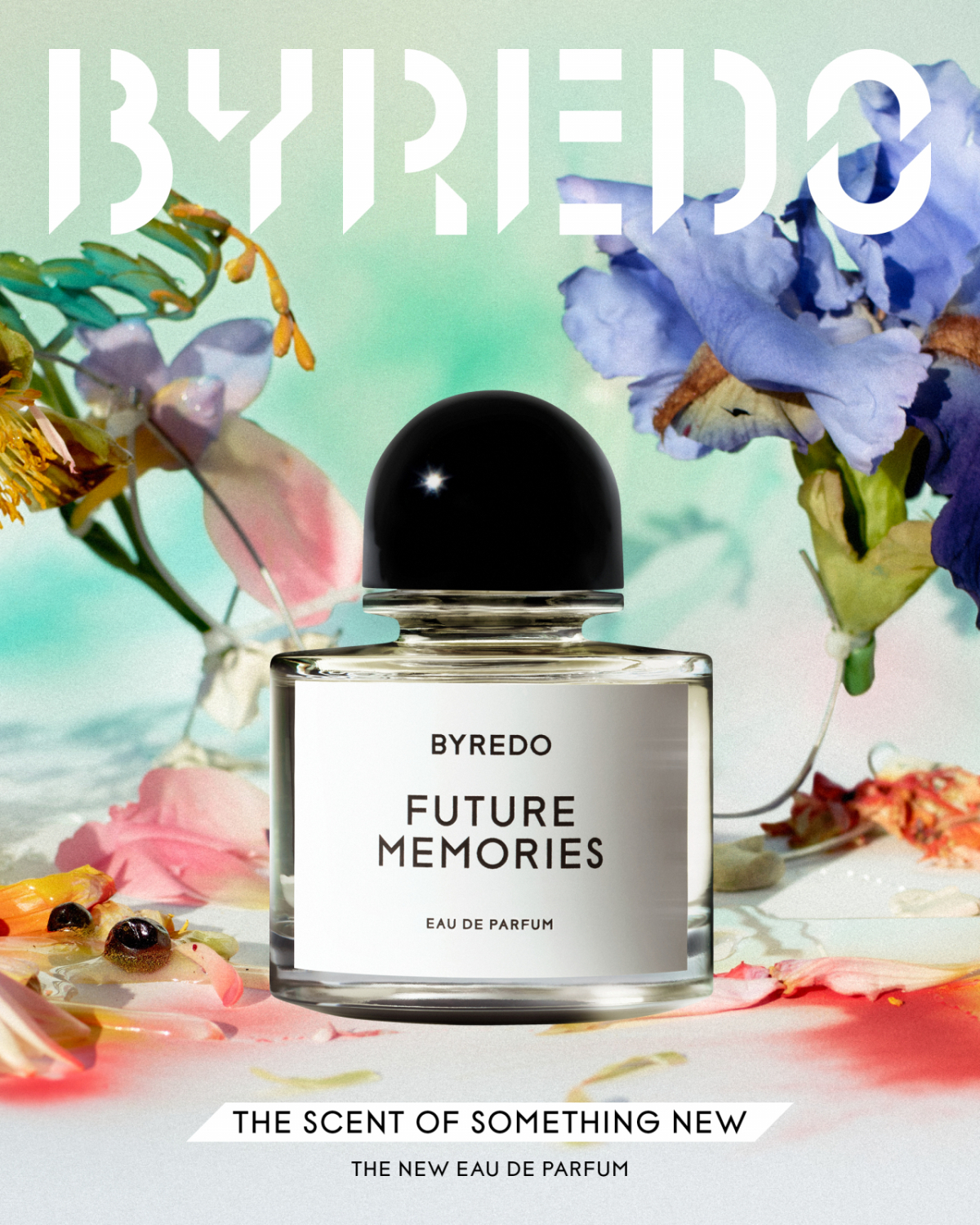 /사진제공=바이레도(BYREDO)