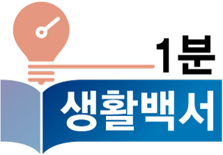 1분 생활백서 /사진=머니투데이 DB