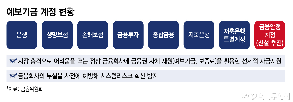 예보기금 계정 현황. /그래픽=김지영 기자