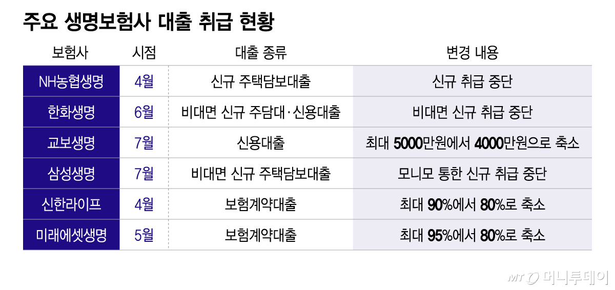 주요 생명보험사 대출 취급 현황/그래픽=이지혜