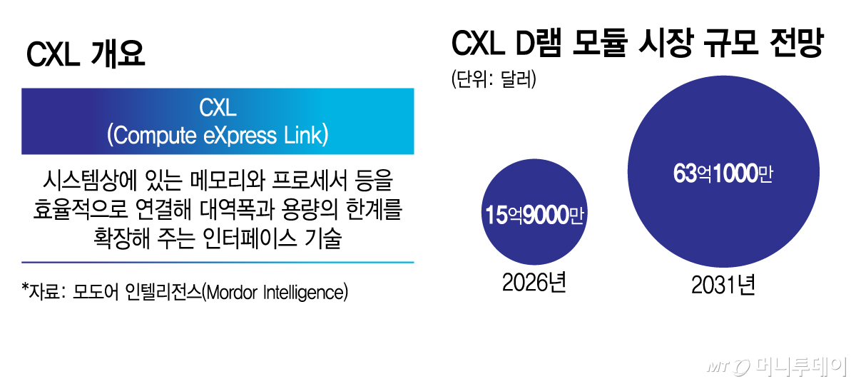 CXL 개요 및 시장 전망/그래픽=김지영