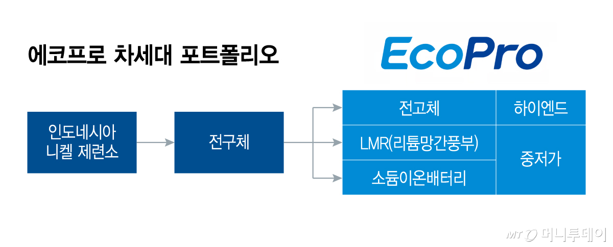 에코프로 차세대 포트폴리오/그래픽=이지혜