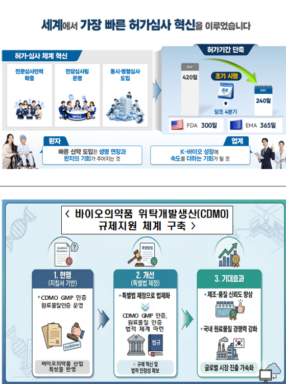 '세계로 나아가는 K-바이오·헬스 규제 지원체계 구축' 개요/자료=식약처