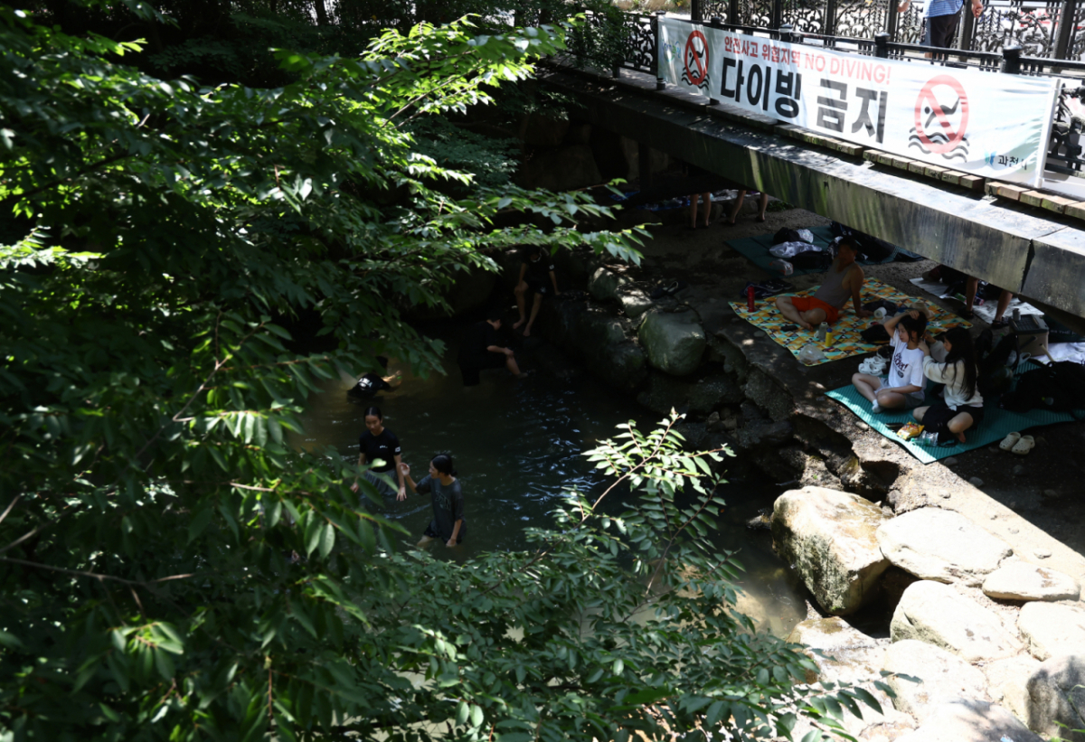 경기 과천시 과천향교 인근 계곡. /사진=뉴스1
