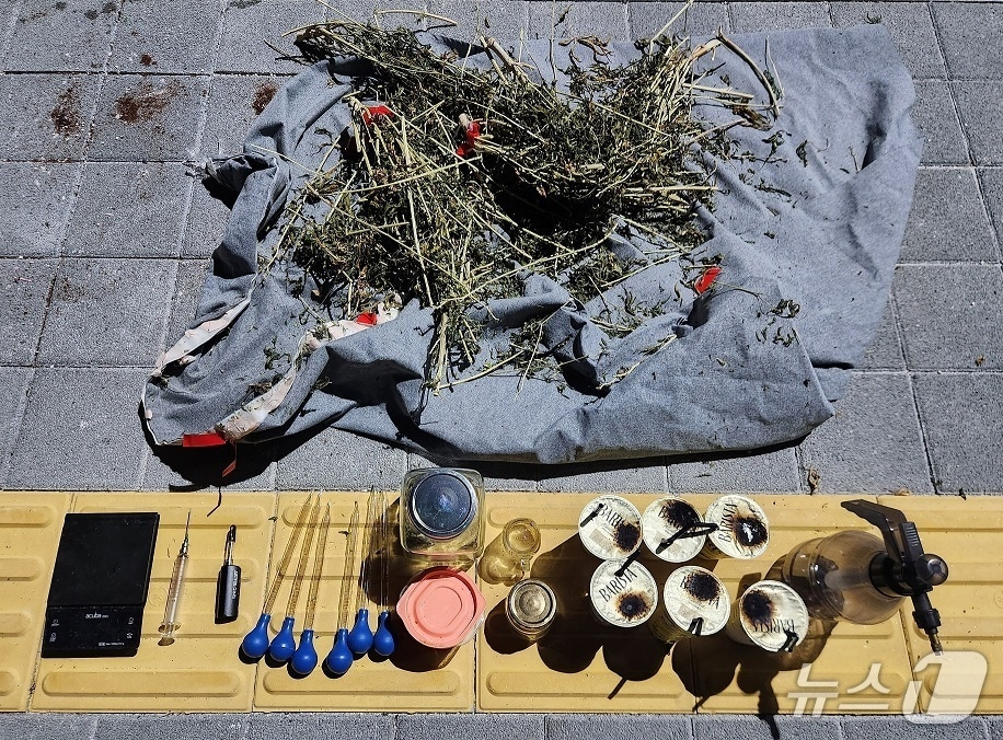 사촌 관계인 남성 두 명이 빌라 두 곳을 빌려 직접 대마를 재배한 뒤 온라인에서 불법 판매한 혐의로 경찰에 붙잡혀 구속됐다. 사진은 경찰이 범행 현장에서 압수한 물품들. /사진=뉴스1(용인동부경찰서 제공)