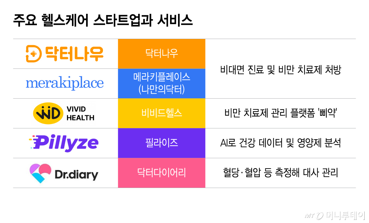 주요 헬스케어 스타트업과 서비스. /그래픽=이지혜 디자인기자