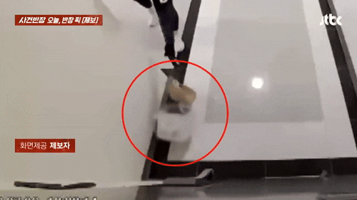 지난 12일 JTBC 사건반장에서는 배달 기사가 고객이 주문한 케이크를 현관 앞에 던지듯 내려놓은 뒤 뒤집어진 상자를 발로 여러 차례 차는 모습이 공개됐다. /사진=JTBC 사건반장 갈무리
