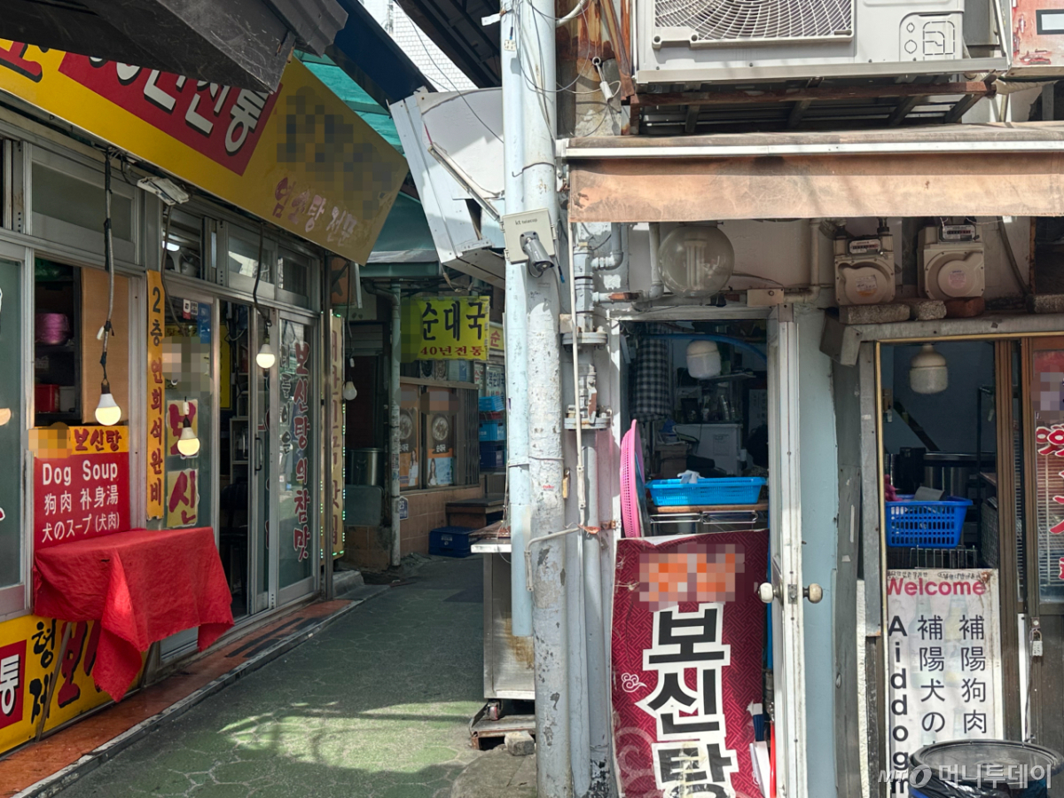 14일 오전 서울 종로구 신진시장 보신탕 골목길 모습. /사진=여승헌 기자.