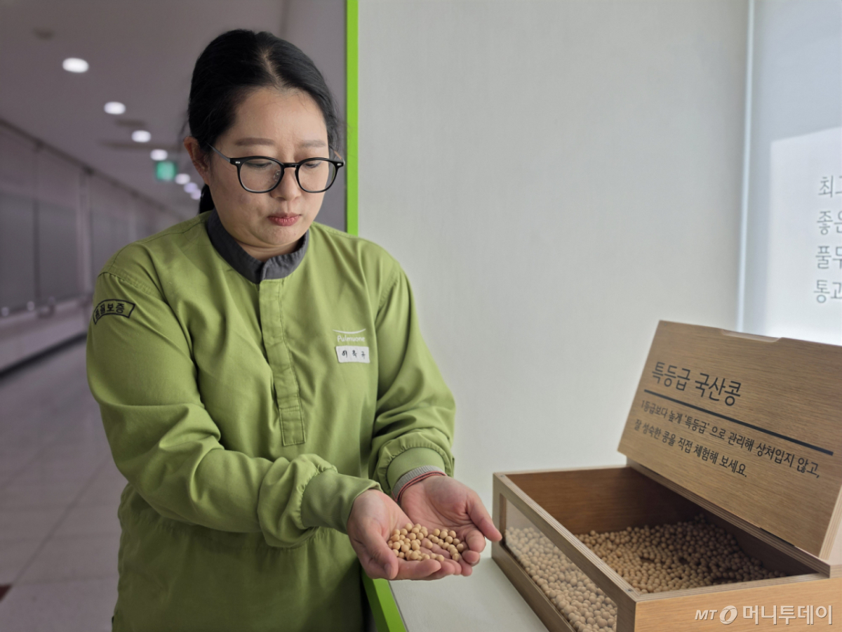 지난 11일 충북 음성 풀무원 두부공장에서 관계자가 국산콩을 들어 보이고 있다. /사진=이수현 기자