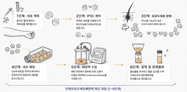 인체모유두세포배양액 제조 과정/사진제공=메디포스트