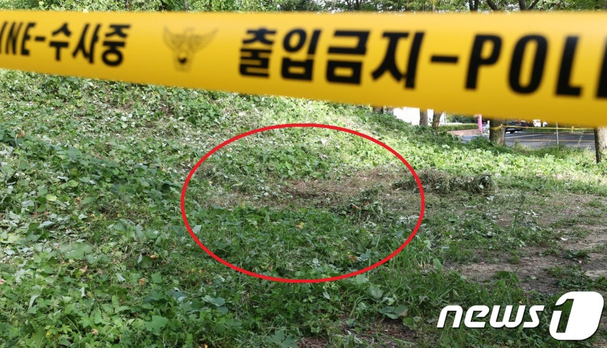2018년 8월 경기 과천시 서울대공원 장미의언덕 주차장 인근 도로 수풀에 폴리스라인이 설치돼 있는 모습. 이 곳에서 서울대공원 직원이 머리와 몸통이 분리된 50대 초반 남성 시신을 발견한 후 경찰에 신고했다./사진=뉴스1