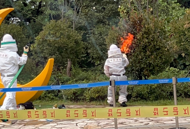 119구조대가 벌집 제거 작업을 벌이고 있다/사진=부산소방재난본부 제공