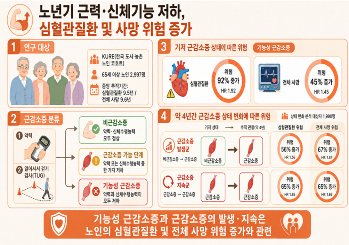 질병관리청 노년기 근력·신체기능 저하 관련 연구 내용. /사진제공=질병관리청