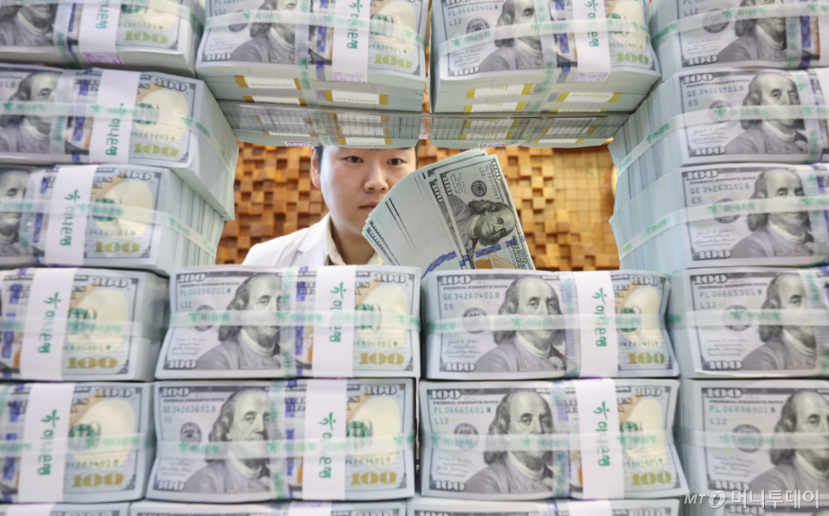 서울 중구 하나은행 위변조대응센터에서 직원이 달러화를 정리하는 모습./사진=뉴시스