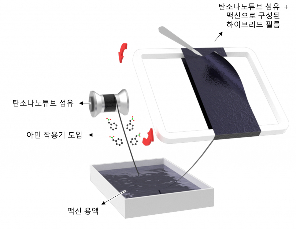 탄소나노튜브 섬유·맥신 하이브리드 필름 제조  과정을 나타낸 모식도 /사진=한국재료연구원