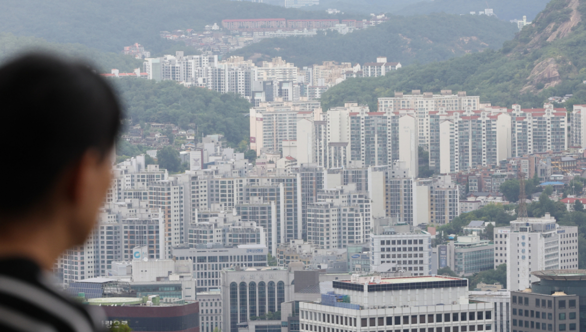서울 남산에서 바라본 아파트 밀집 지역의 모습./사진=뉴시스