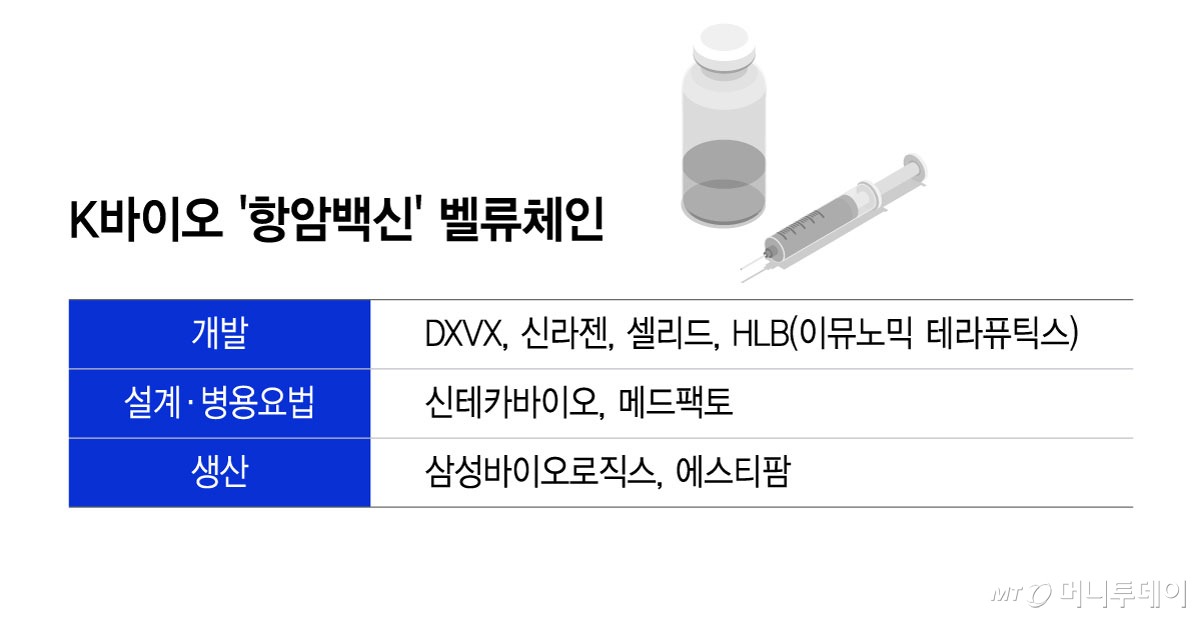 K바이오 '항암백신' 벨류체인/그래픽=윤선정