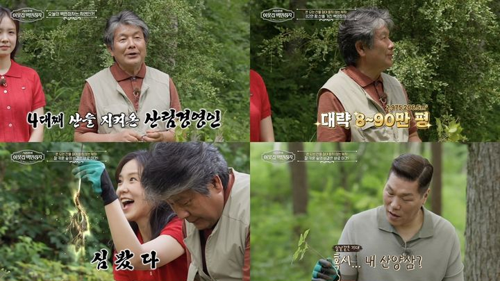지난 19일 오후 방송된 EBS '서장훈의 이웃집 백만장자'에서는 4대째 산을 지키며 숲을 가꿔온 박정희의 이야기가 소개됐다. /사진=EBS