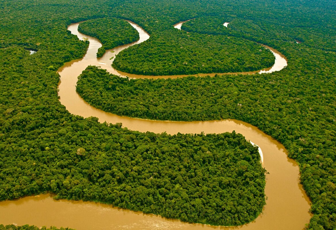 브라질 아마존 열대우림 /사진=Amazon Conservation Team 홈페이지