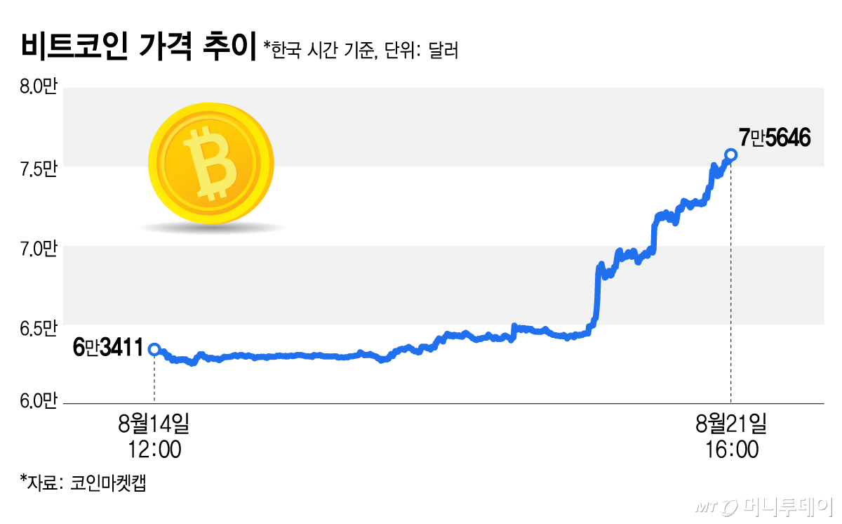 비트코인 가격 추이/그래픽=김지영