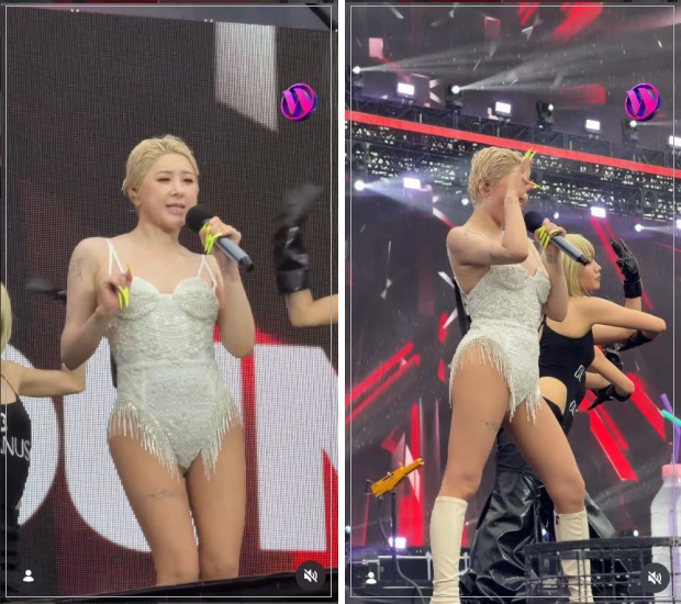 가수 서인영이 다이어트 후 오른 '워터밤' 무대에서 화려한 공연을 펼치고 있다. /사진=인스타그램 캡처