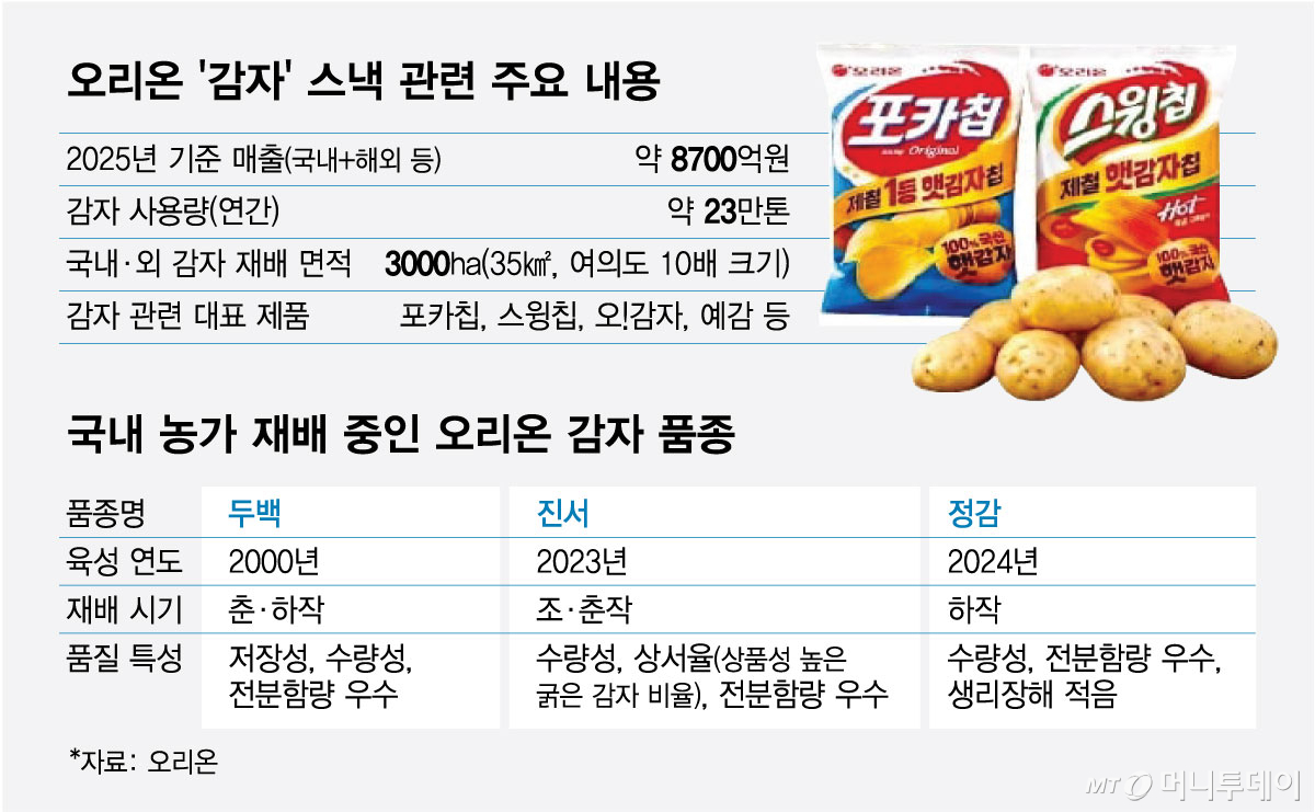 국내 농가 재배 중인 오리온 감자 품종/그래픽=최헌정