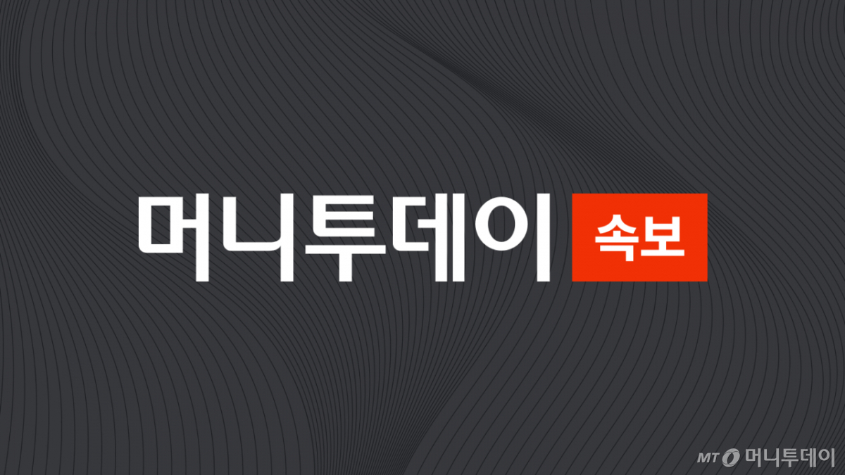 속보 /사진=머니투데이