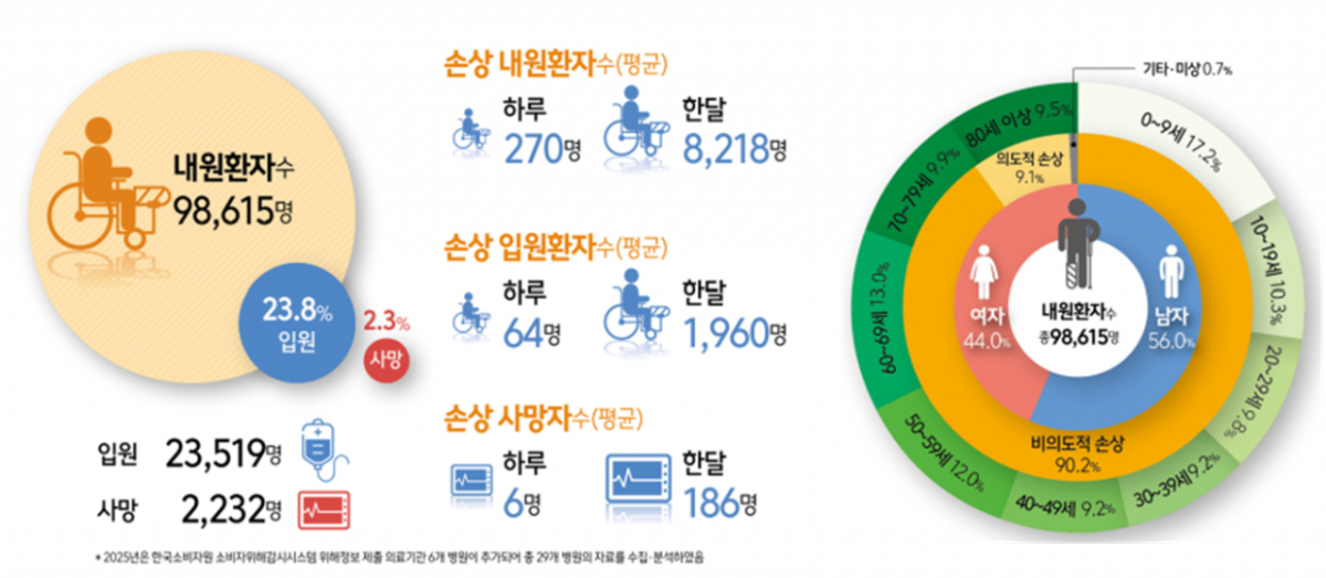 응급실에 내원한 손상환자의 규모 및 현황(2025년). /사진제공=질병관리청