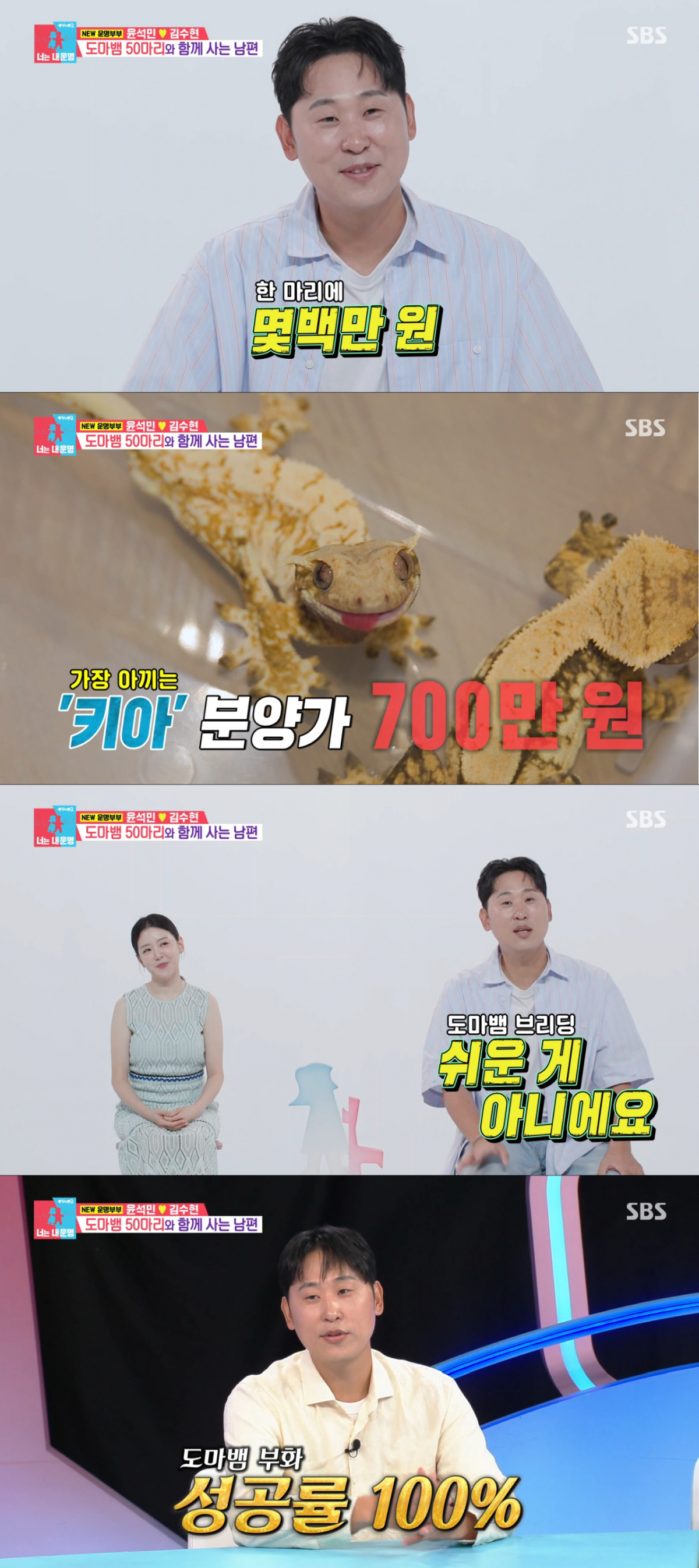 고가의 도마뱀을 브리딩하며 관리하는 윤석민. /사진=SBS '동상이몽2-너는 내 운명' 캡처