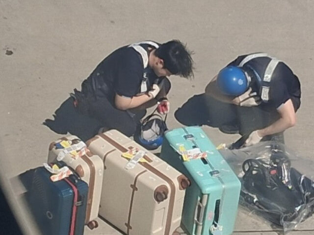  최근 한 온라인 커뮤니티에는 "박수홍 내렸다 탔다 논란. 대한항공 1시간 지연"이라는 제목의 글이 올라왔다. 게시물에는 지상조업 직원들이 수하물을 찾는 것으로 보이는 사진도 첨부됐다. /사진=온라인 커뮤니티