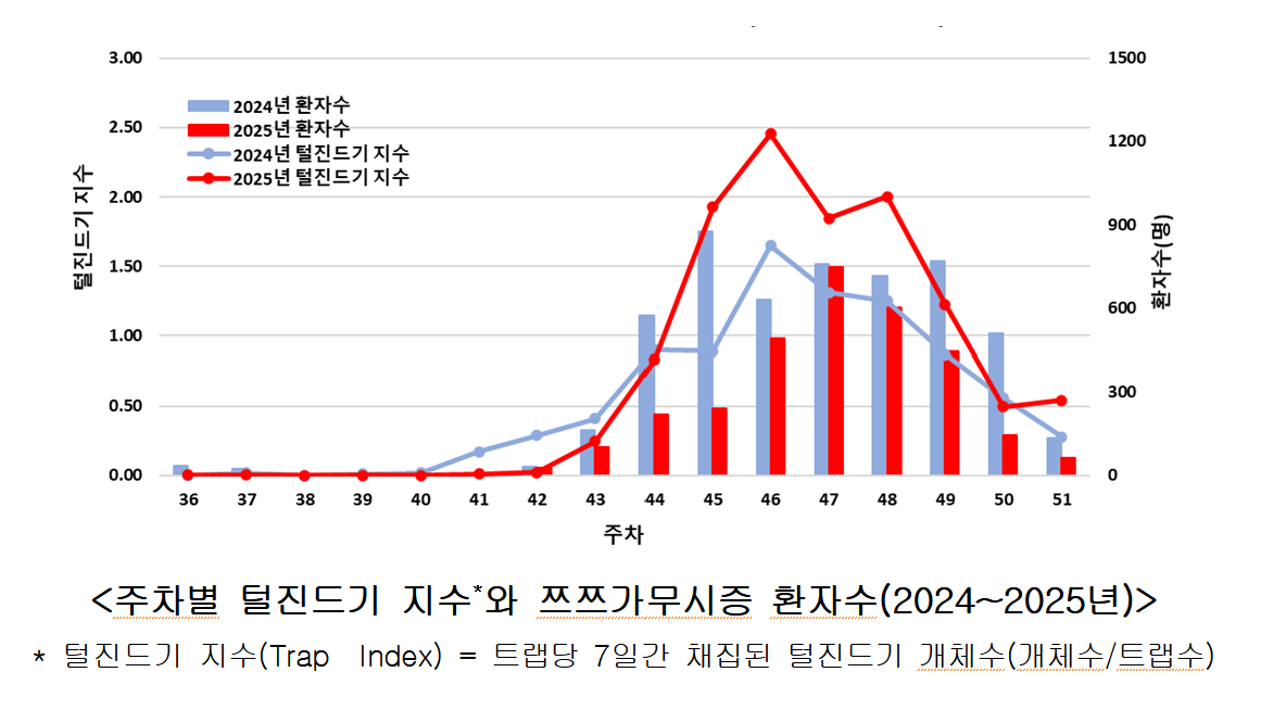 주차별 털진드기 지수와 쯔쯔가무시증 환자 수. /사진제공=질병관리청
