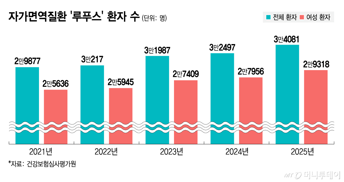 자가면역질환 '루푸스' 환자 수. /그래픽=김지영 디자인기자