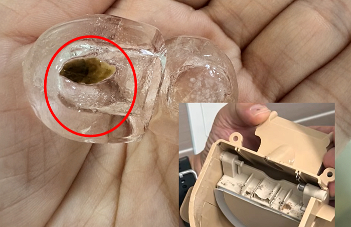 얼음정수기 내부에서 곰팡이로 추정되는 이물질이 발견되는 사례가 잇따르고 있다. 일부 제품에서는 이물질이 묻은 얼음까지 나온 것으로 전해졌다. /사진=SBS '뉴스헌터스'