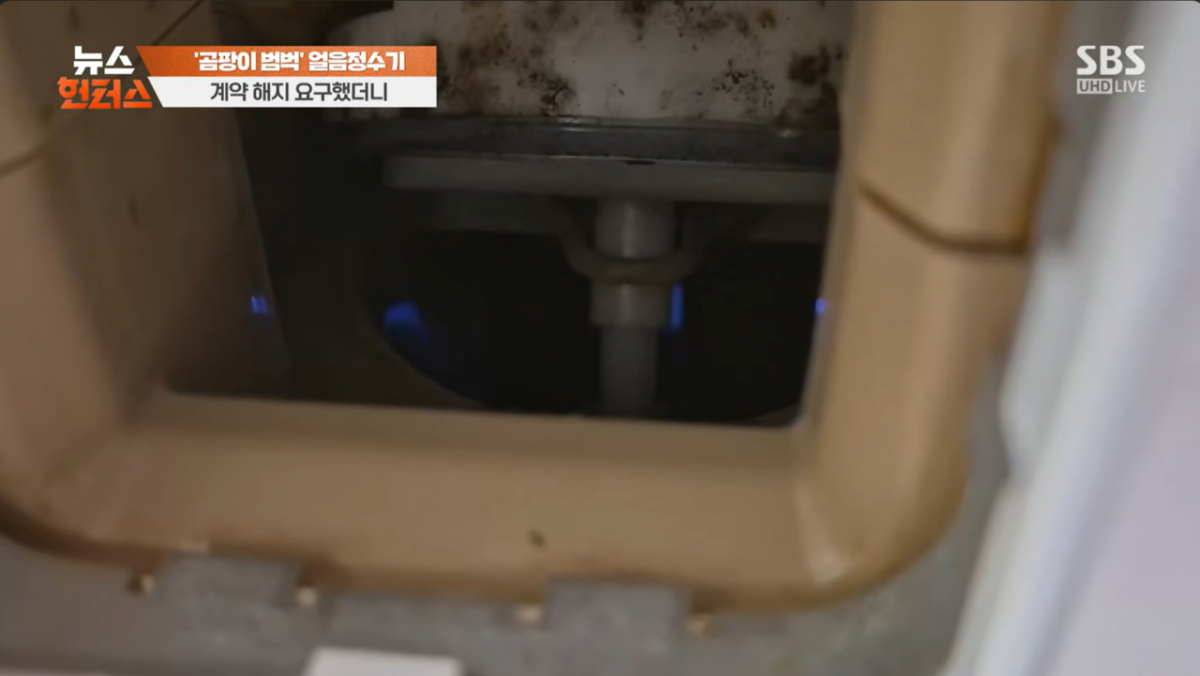 전문가는 얼음정수기 내부가 곰팡이와 세균이 번식하기 쉬운 환경이라고 설명했다. 얼음 배출구에 소량의 물기만 남아도 공기 중 먼지에 붙어 있던 유기물과 결합해 미생물이 자랄 수 있다는 것이다. /사진=SBS '뉴스헌터스'