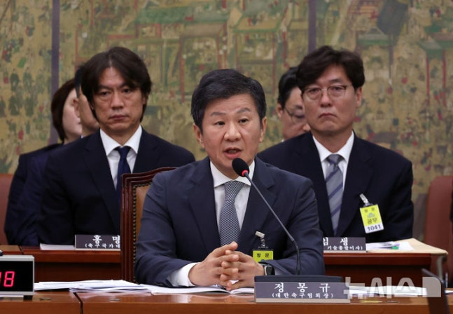 2024년 9월 서울 여의도 국회에서 열린 문화체육관광위원회의 대한축구협회 등에 대한 현안질의에서 의원 질의에 답하고 있는 정몽규 당시 대한축구협회장. /사진=뉴시스