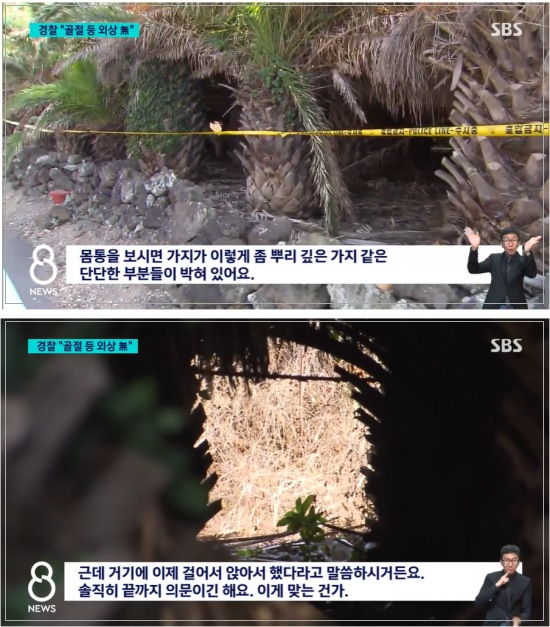 장미란씨 사건 관련 "스스로 목숨을 끊었을 가능성이 높다"는 경찰의 설명에 유족이 강한 의문을 제기했다. "얇은 야자수 줄기에 어떻게 끈을 매달 수 있는지 이해가 안된다"는 입장이다. /사진=SBS 뉴스 캡처