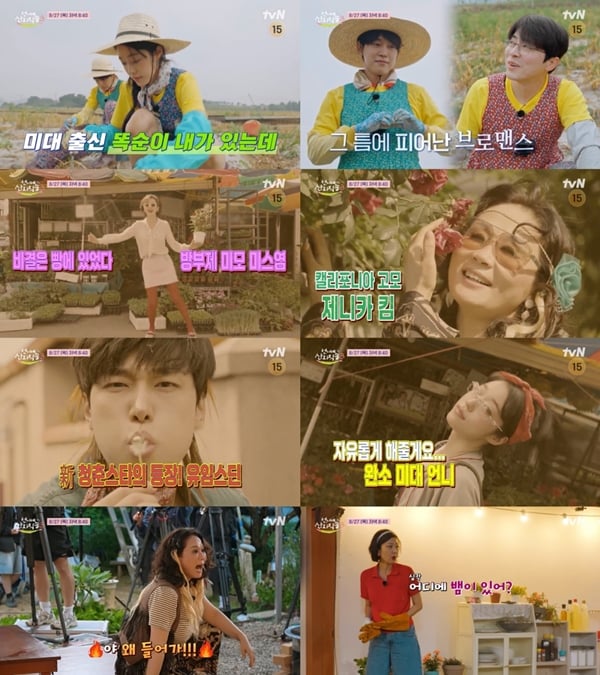 tvN '언니네 산지직송3'./사진제공=tvN
