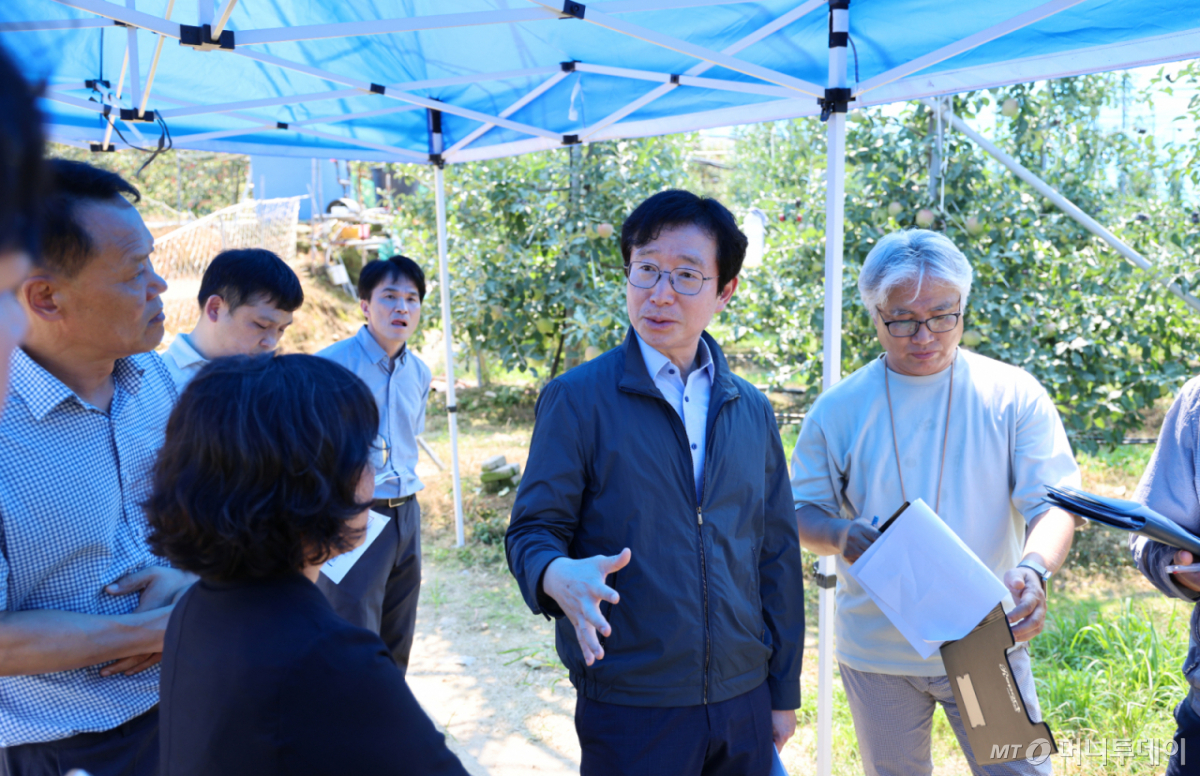 김대현 국립원예특작과학원장이 지난 8월 24일 전북 장수군의 사과 과수원을 찾아 폭염·가뭄 대응 상황과 햇빛차단망 운영 실태를 점검하고 있다. /사진=원예원