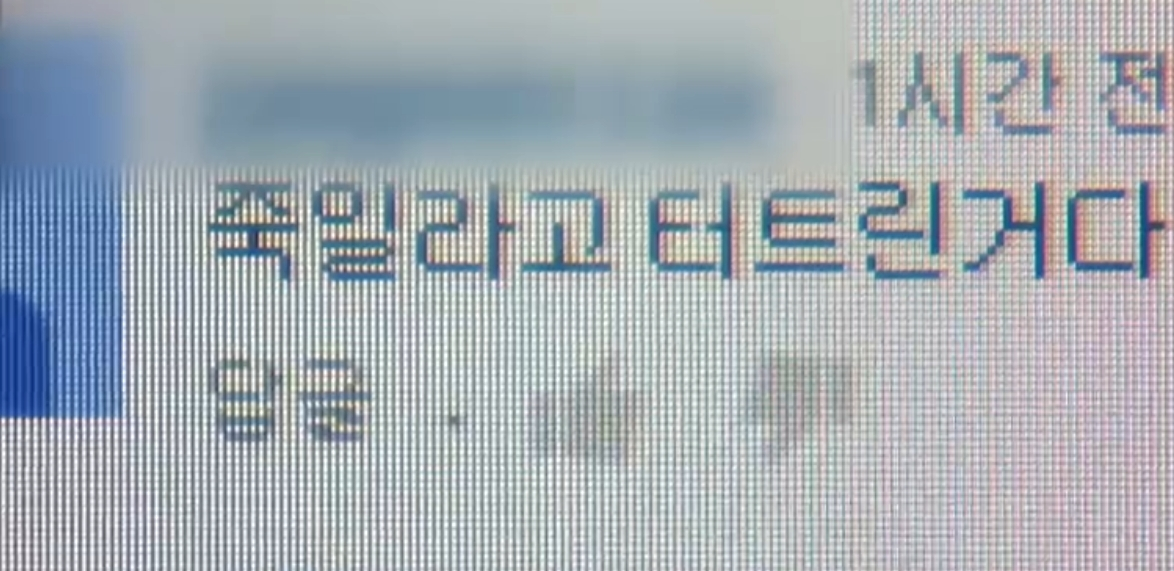 이군은 영상에 직접 "죽이려고 터뜨린 것"이라는 댓글을 남겼다. 또 일부 언론과 온라인 인터뷰에서 "경찰이 나를 잡을 수 있는지 시험하고 싶었다"거나 "미국 버지니아공대 총기난사범처럼 기록을 남기고 싶었다"는 취지로 말했다. /사진=유튜브 캡처