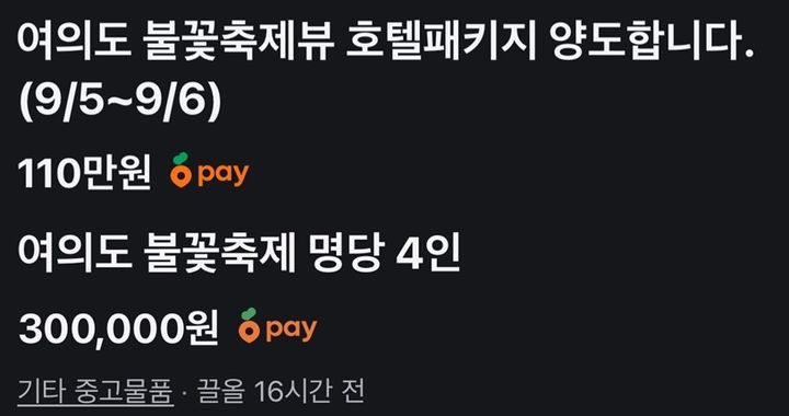 서울세계불꽃축제를 앞두고 온라인상에서 높은 가격에 불꽃축제가 보이는 곳의 숙박시설이나 명당 자리 등을 판매 및 대여한다는 글이 연이어 작성됐다. /사진=SNS 캡처